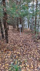 Защита пересеченной местности в лесу